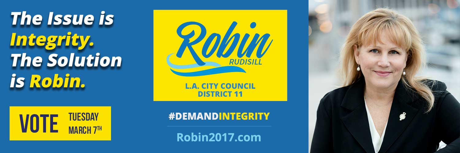 Campaign banner for Robin Rudisill 2017